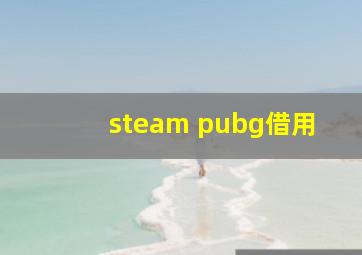 steam pubg借用